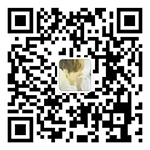 91视频污软件下载