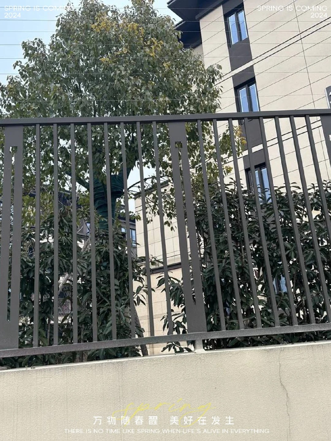 富邦3.jpg